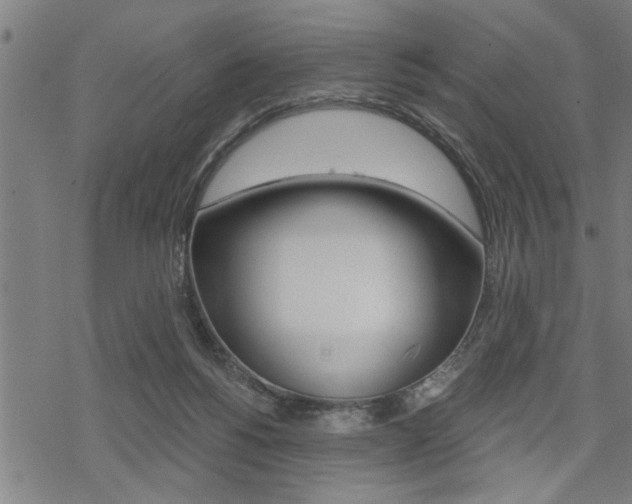 X0000069810168200605190854