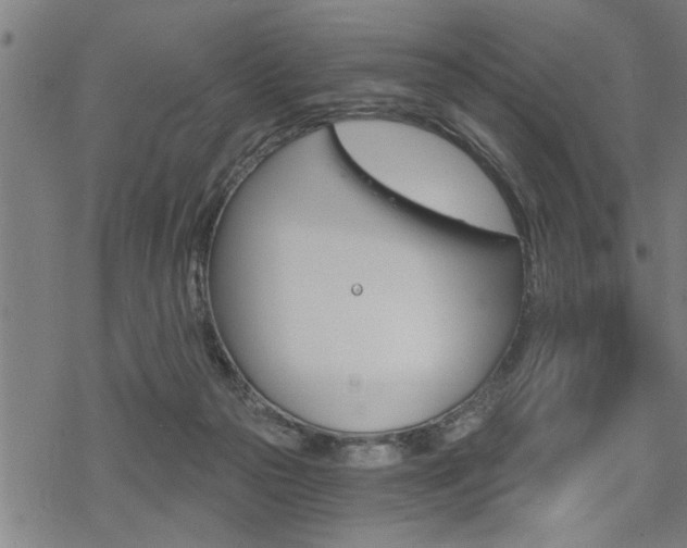 X0000069810169200605190854