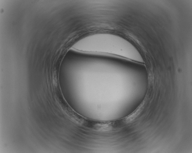 X0000069810170200605190854