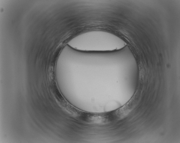 X0000069810171200605190854