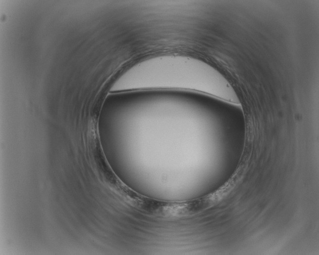 X0000069810172200605190854