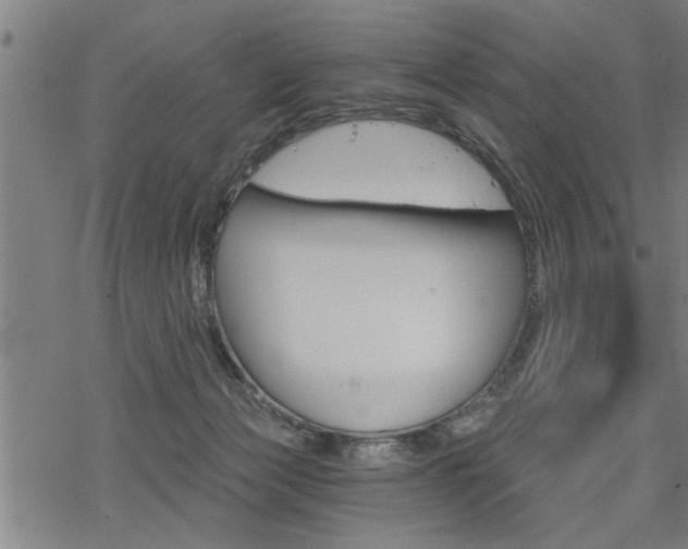 X0000069810173200605190854