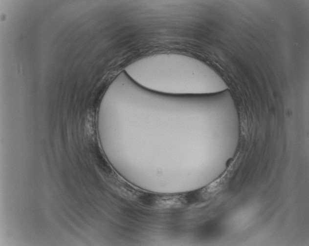 X0000069810175200605190854