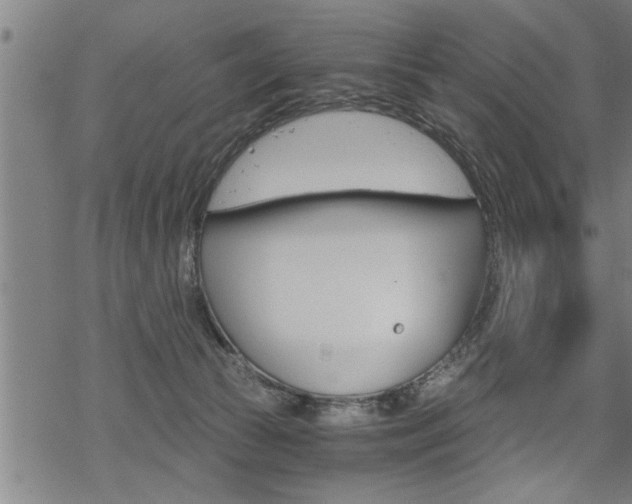 X0000069810177200605190854