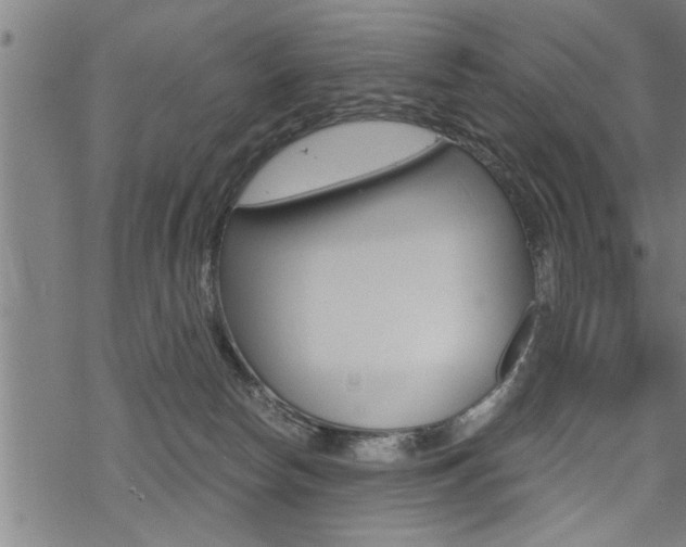 X0000069810178200605190854