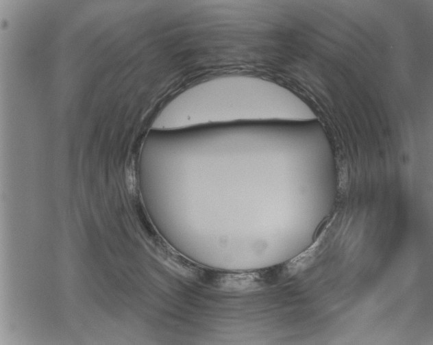 X0000069810179200605190854