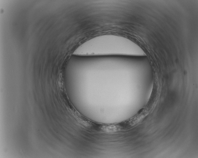 X0000069810181200605190854