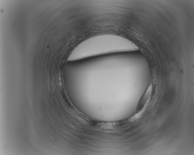 X0000069810182200605190854