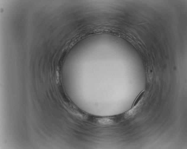 X0000069810183200605190854