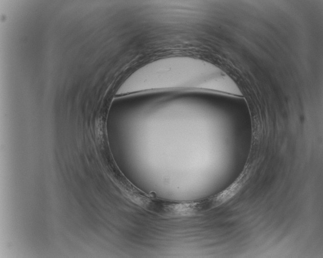 X0000069810184200605190854