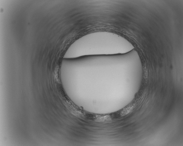 X0000069810185200605190854