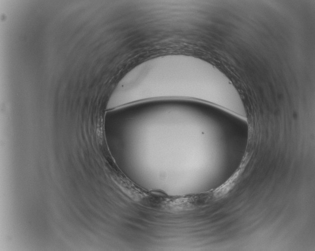 X0000069810186200605190854