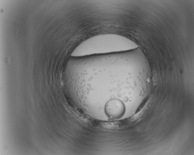 X0000069810187200605190854