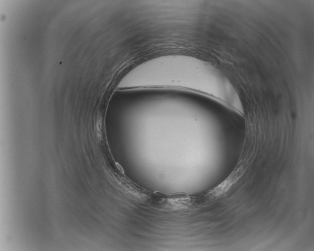 X0000069810188200605190854