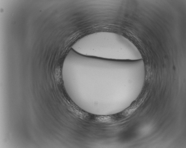 X0000069810189200605190854