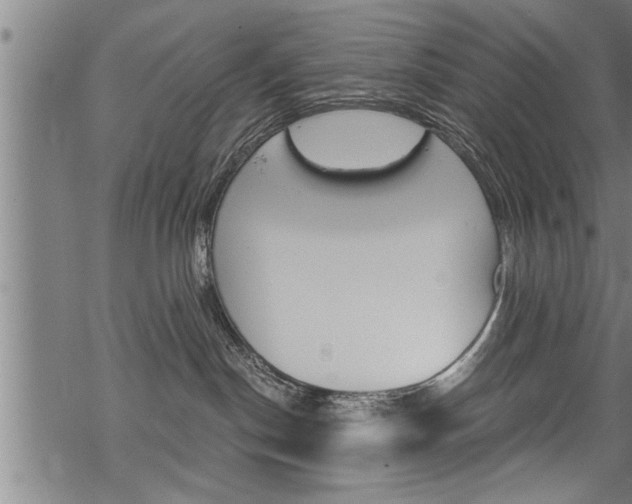 X0000069810190200605190854