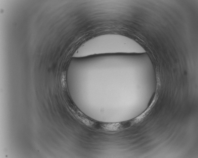 X0000069810191200605190854