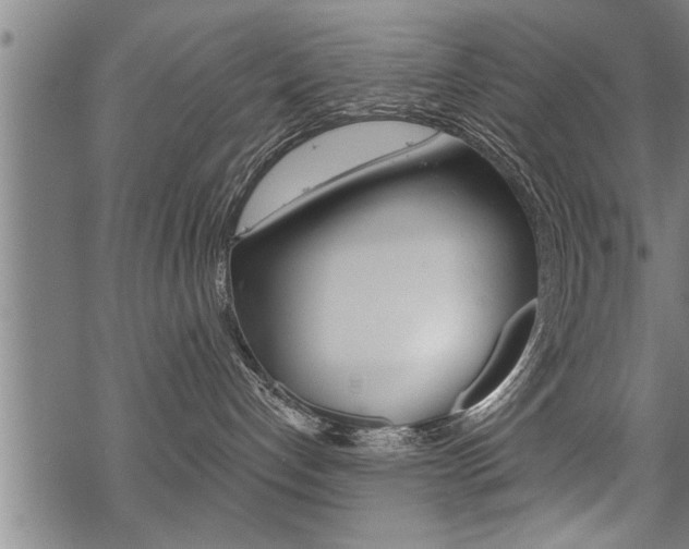 X0000069810192200605190854