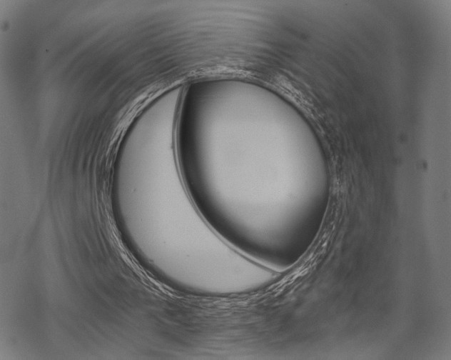 X0000069810193200605190853