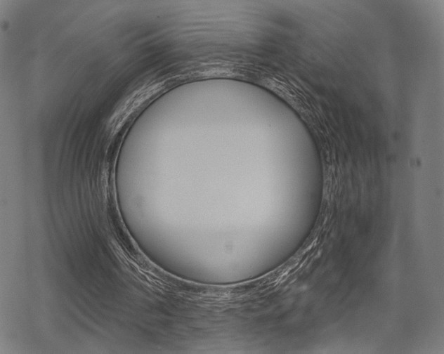 X0000069810194200605190853