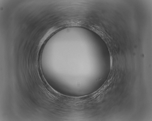 X0000069810195200605190853