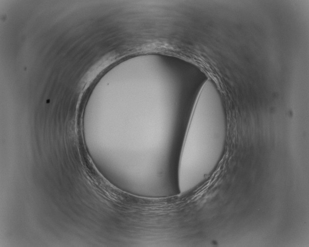 X0000069810196200605190853