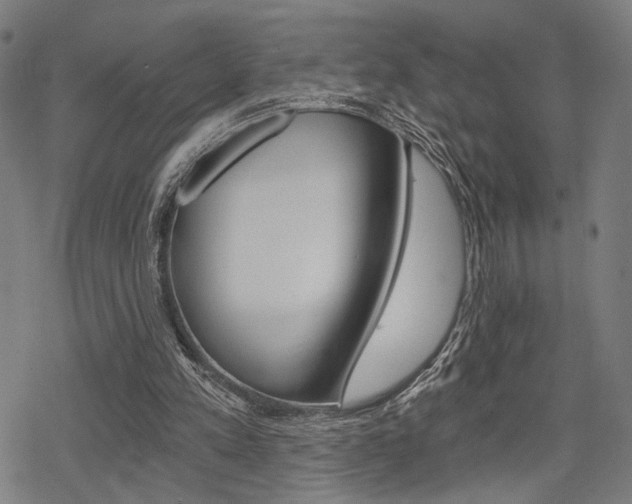 X0000069810197200605190853