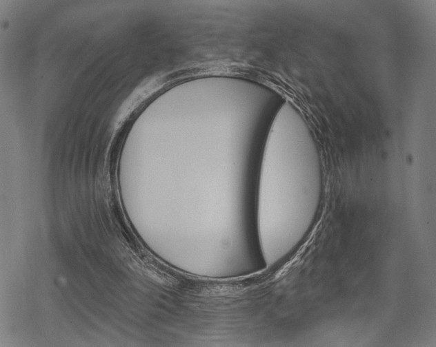 X0000069810198200605190853