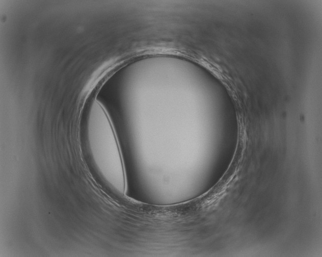 X0000069810199200605190853