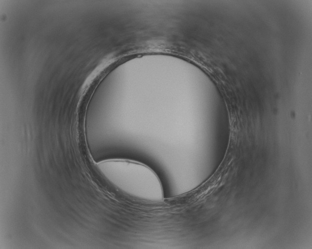 X0000069810200200605190853