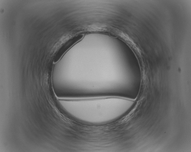 X0000069810201200605190853