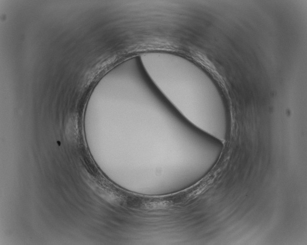 X0000069810202200605190853