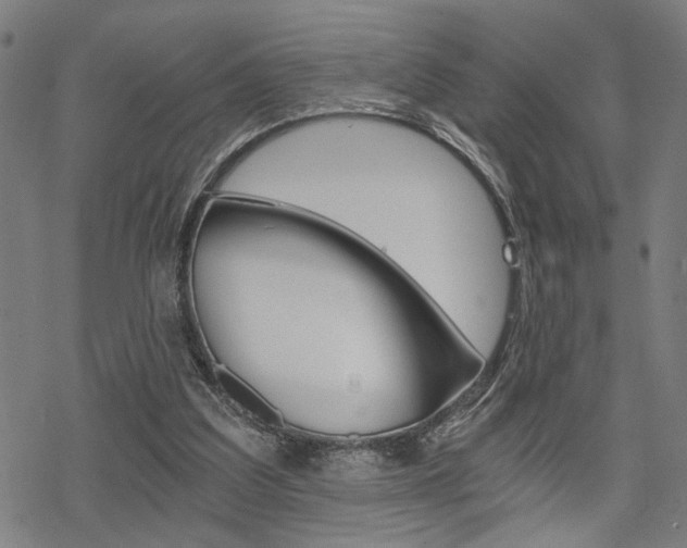 X0000069810203200605190853