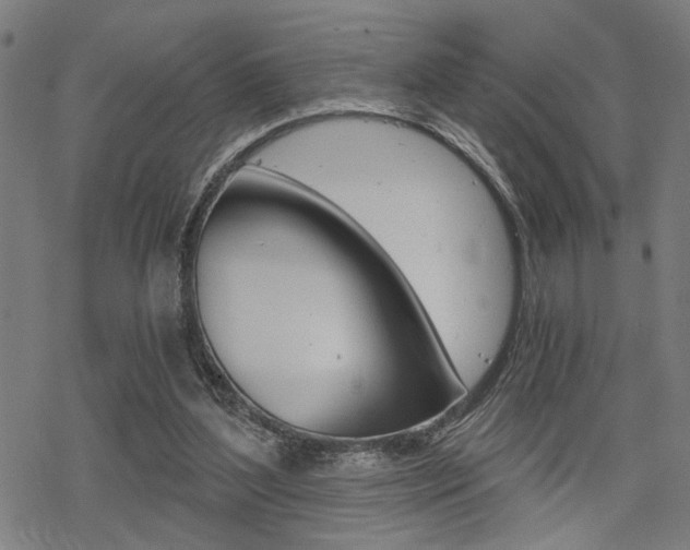 X0000069810204200605190853