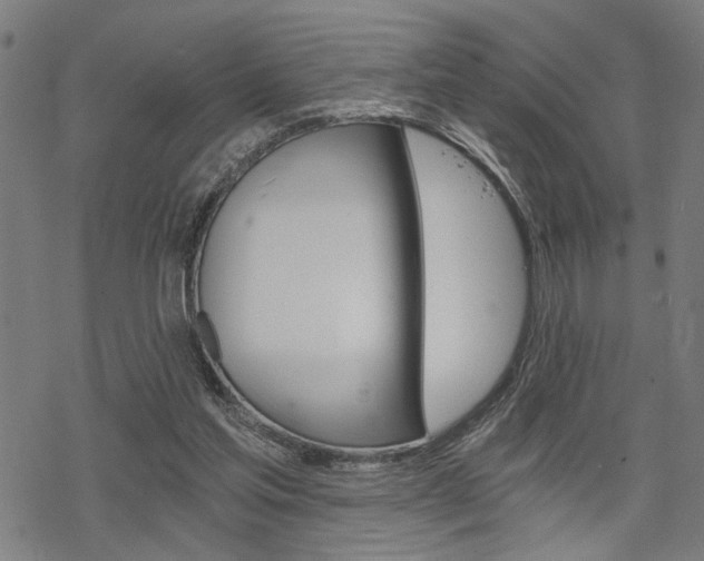 X0000069810205200605190853