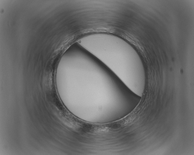 X0000069810206200605190853