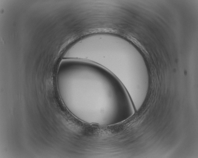 X0000069810207200605190853