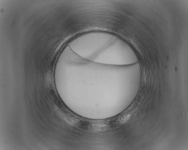 X0000069810208200605190853