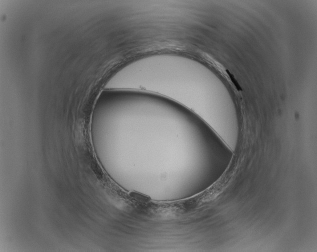 X0000069810209200605190853