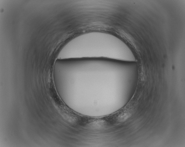 X0000069810210200605190853