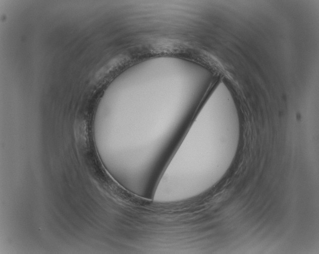 X0000069810211200605190853