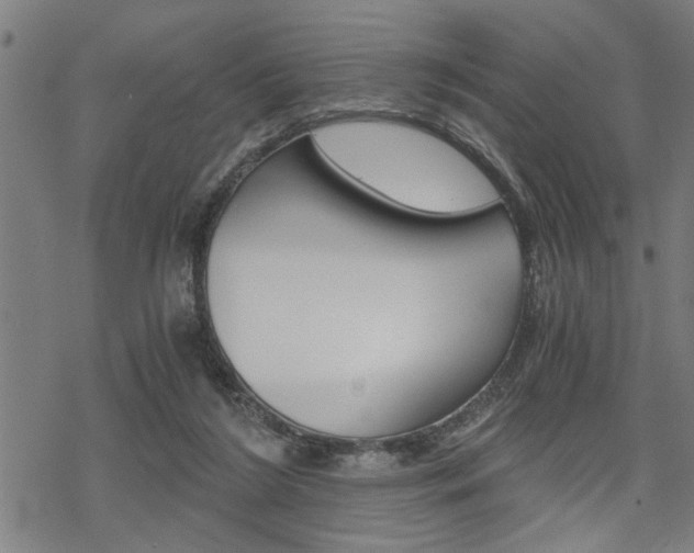 X0000069810212200605190853