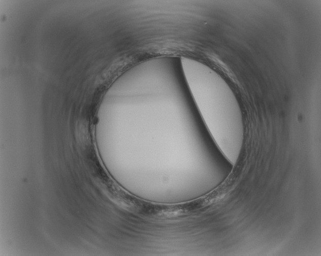 X0000069810213200605190853