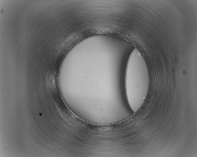 X0000069810214200605190853