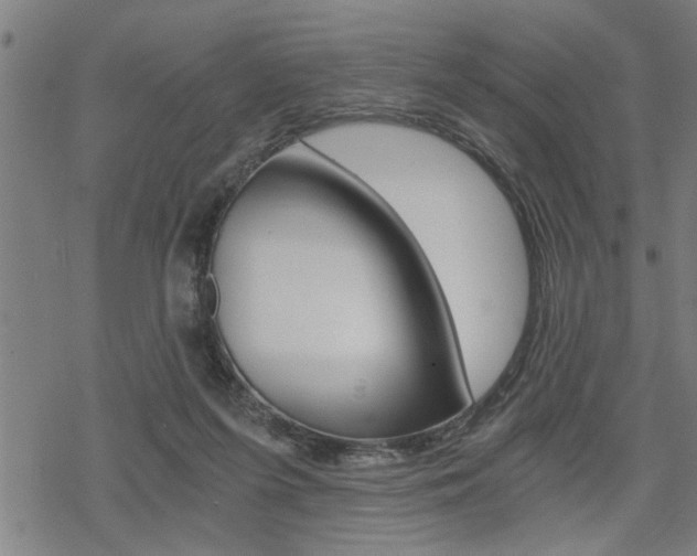 X0000069810215200605190853