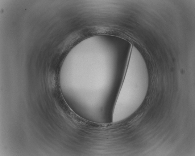 X0000069810216200605190853