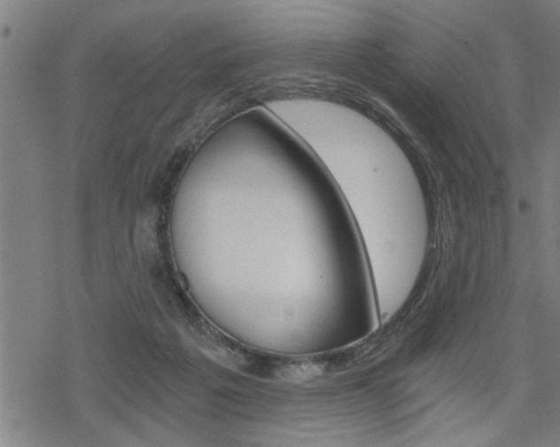 X0000069810217200605190853