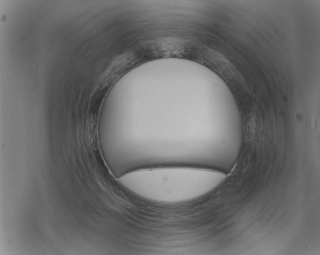 X0000069810218200605190853