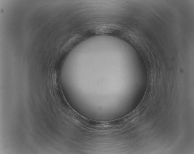 X0000069810219200605190853