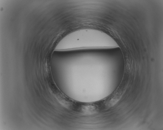 X0000069810220200605190853